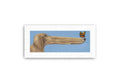 "Landing Pad" Print